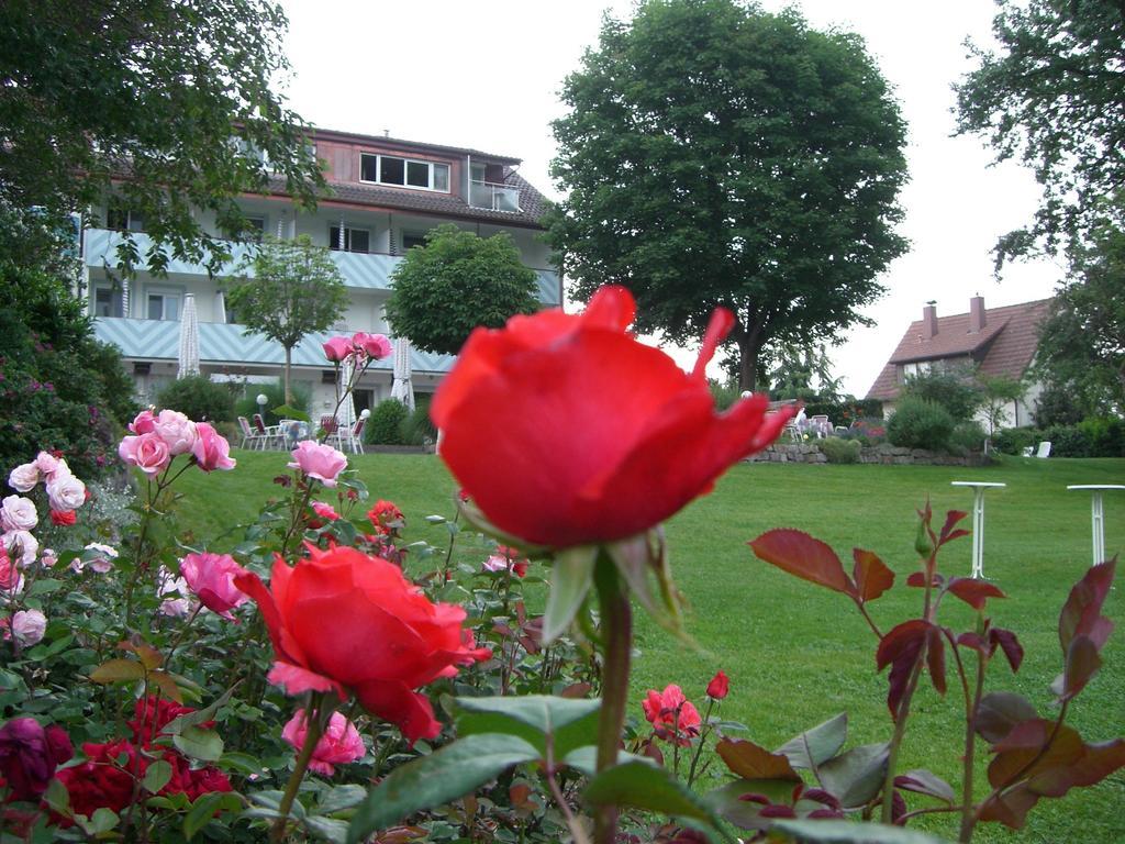 Hotel-Restaurant Schwedi ランゲナルゲン エクステリア 写真